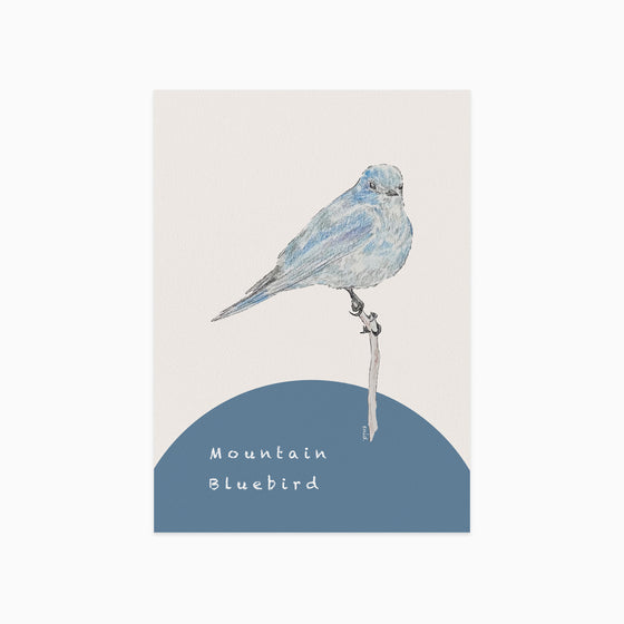 Let Me Fly to You Mountain Bluebird Postcard 「讓我飛到你身旁」山藍鴝明信片