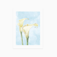  "Dearest" Calla Lily Postcard 「親愛的」馬蹄蘭明信片