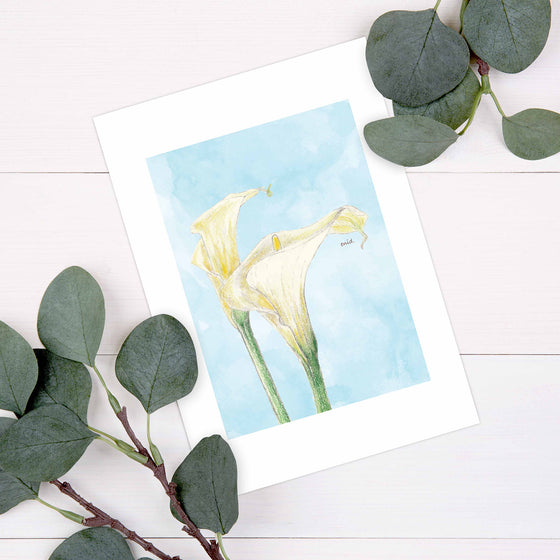 "Dearest" Calla Lily Postcard 「親愛的」馬蹄蘭明信片